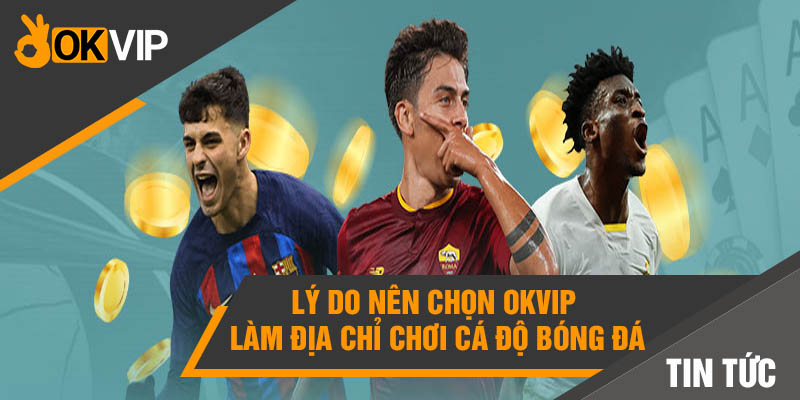 Lý do nên chọn OKvip làm địa chỉ chơi cá độ bóng đá