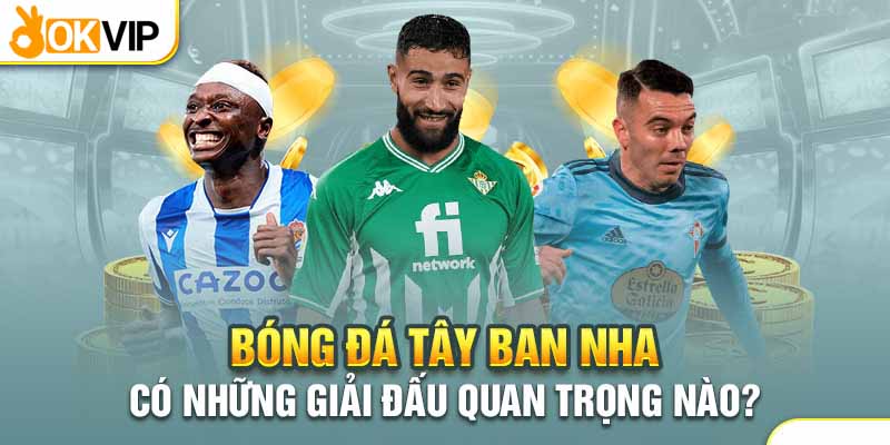 Nhận Định Bóng Đá Tây Ban Nha Qua 6 Loại Kèo Hấp Dẫn 1 Nhận định bóng đá Tây Ban Nha qua các giải đấu