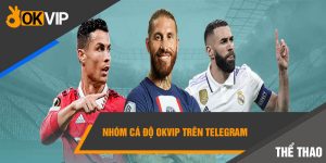 nhóm cá độ Okvip trên Telegram